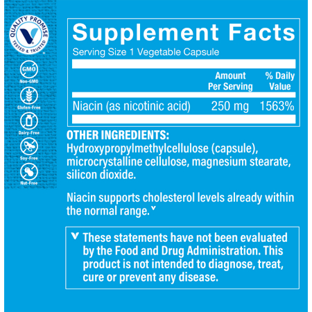 Supplement Facts label for Niacin Cholesterol Support Vegetable Capsules 250 MG