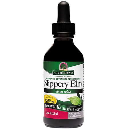 Slippery Elm Ulmus Rubra bottle front