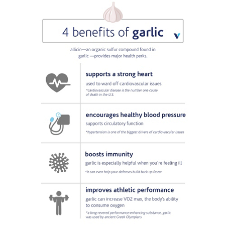4 benefits of garlic with icons and descriptions of health advantages