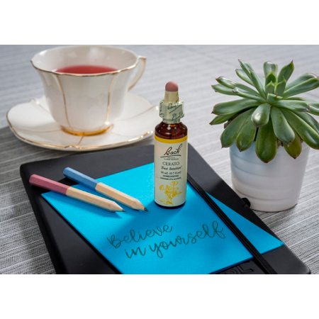 Bach Cerato Flower Essence 20mL Dropper for Intuition