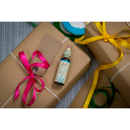 Chicory Homeopathic Flower Essence 20mL Dropper