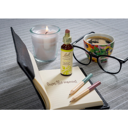 Bach Clematis Dropper: Focus & Concentration Essence