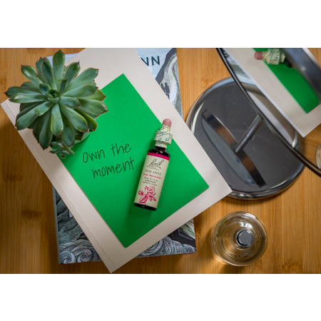 Crab Apple Natural Homeopathic Flower Essence dropper view 4