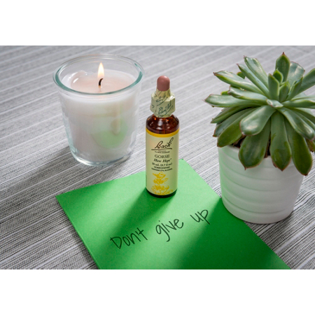 Bach Gorse for Hope Natural Homeopathic Flower Essence dropper 20mL view 4