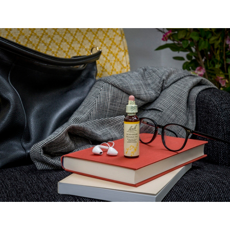 Bach Hornbeam for Procrastination Flower Essence Dropper
