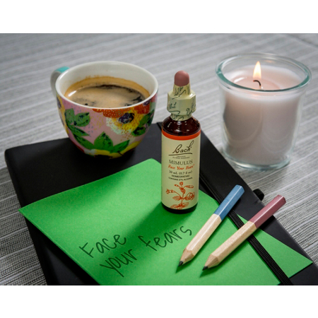 Bach Mimulus Flower Essence 20mL Dropper for Fears