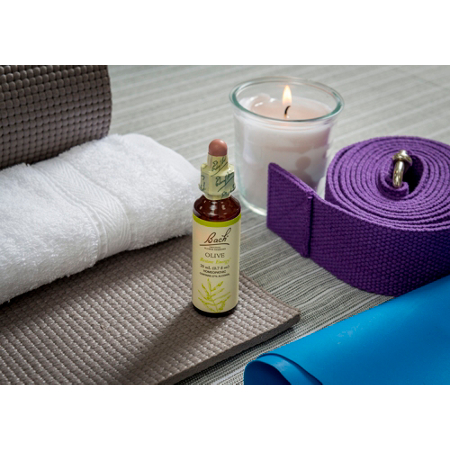 Bach Olive for Energy Natural Homeopathic Flower Essence 20mL Dropper view 4