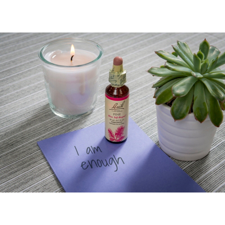 Bach Pine for Self Respect Flower Essence 20mL Dropper view 4