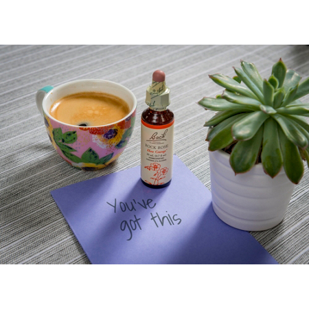 Bach Rock Rose Courage 20mL Flower Essence Dropper
