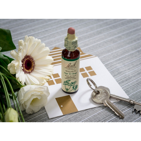 Bach Walnut Natural Homeopathic Flower Essence dropper view 4
