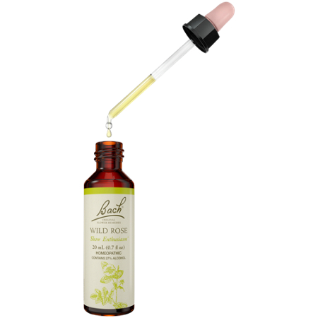 Bach Wild Rose for Enthusiasm dropper view 2