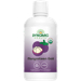 Dynamic Health Mangosteen Gold bottle front