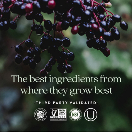 The best ingredients from where they grow best text with berries