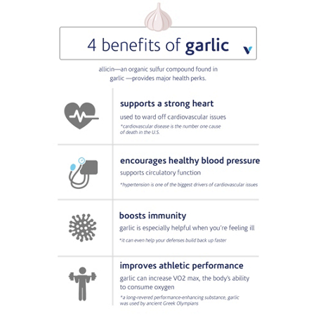 Kyolic Aged Garlic Extract Blood Pressure Health Formula text benefits view