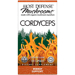 Host Defense Mushrooms Cordyceps Energy Support with Organic Mushrooms view 2