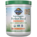 Garden of Life Raw Organic Perfect Food Energizer powder front