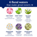 6 floral waters benefits chart