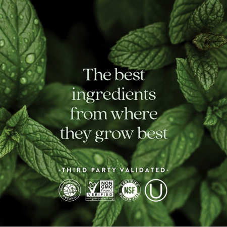 The best ingredients from where they grow best text with mint leaves background