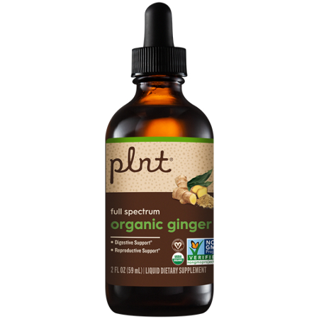 plnt Organic Liquid Ginger full spectrum bottle front