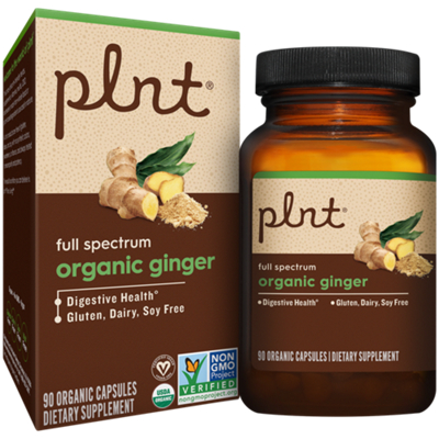 Organic Ginger for Digestive Health Support - 500 MG (90 Capsules)
