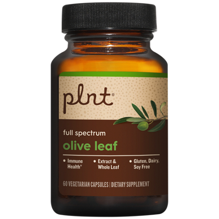 plnt Olive Leaf Full Spectrum Supports Immune Health capsules view 4