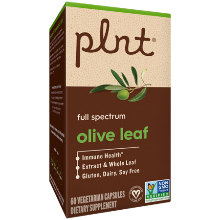 plnt Olive Leaf Full Spectrum box view 7