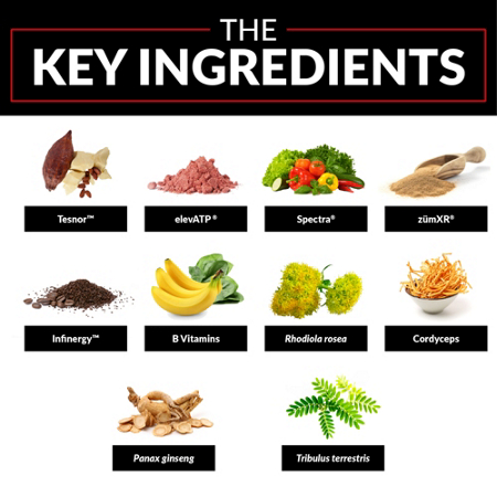 Test X180 Unleashed Key Ingredients view 7