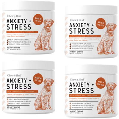 Anxiety + Stress