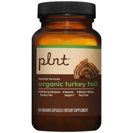 Plnt Organic Turkey Tail Immune Support capsules view 4