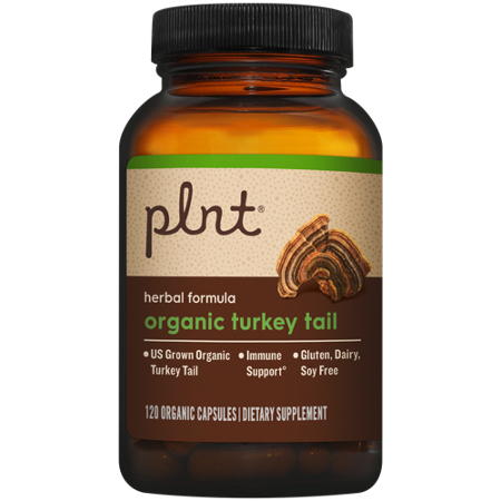 plnt Organic Turkey Tail Herbal Formula Immune Support capsules view 4