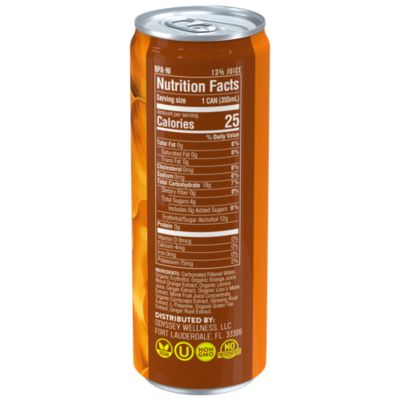 Sparkling Mushroom Elixir Energy & Focus Drink - Orange