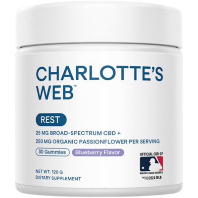 ReCreate Rest - Blueberry