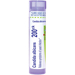 Boiron Candida Albicans Homeopathic Medicine pellets front