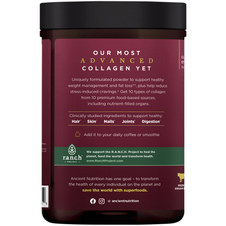 Multi Collagen Lean Advanced Powder Cinnamon by Ancient Nutrition view 4