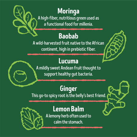 Moringa Baobab Lucuma Ginger Lemon Balm alternate view 4