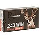 Monarch® SP .243 Winchester 100-Grain Rifle Ammunition - 20 Rounds                                                              - view number 1 image