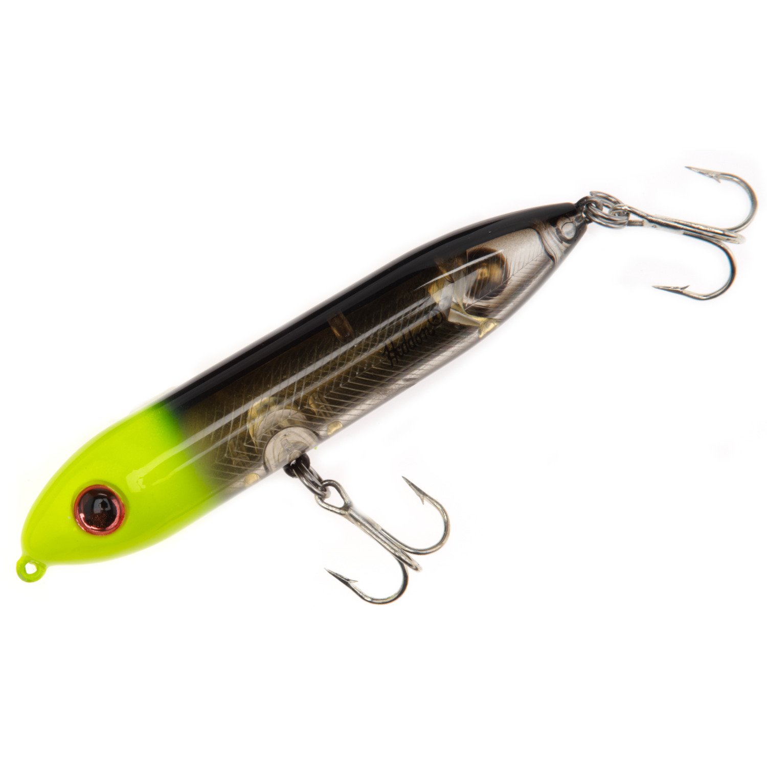 topwater spook lures