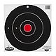 Birchwood Casey® Dirty Bird™ 12" Bull's-Eye Target Sheets 12-Pack - view number 1 image