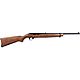 Ruger 10/22 .22 LR Carbine Autoloading Rifle                                                                                     - view number 1 image
