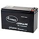 Wildgame Innovations Trophy Hunter™ Wildlife Feeders 12V Gel Cell Rechargeable Battery                                         - view number 1 image