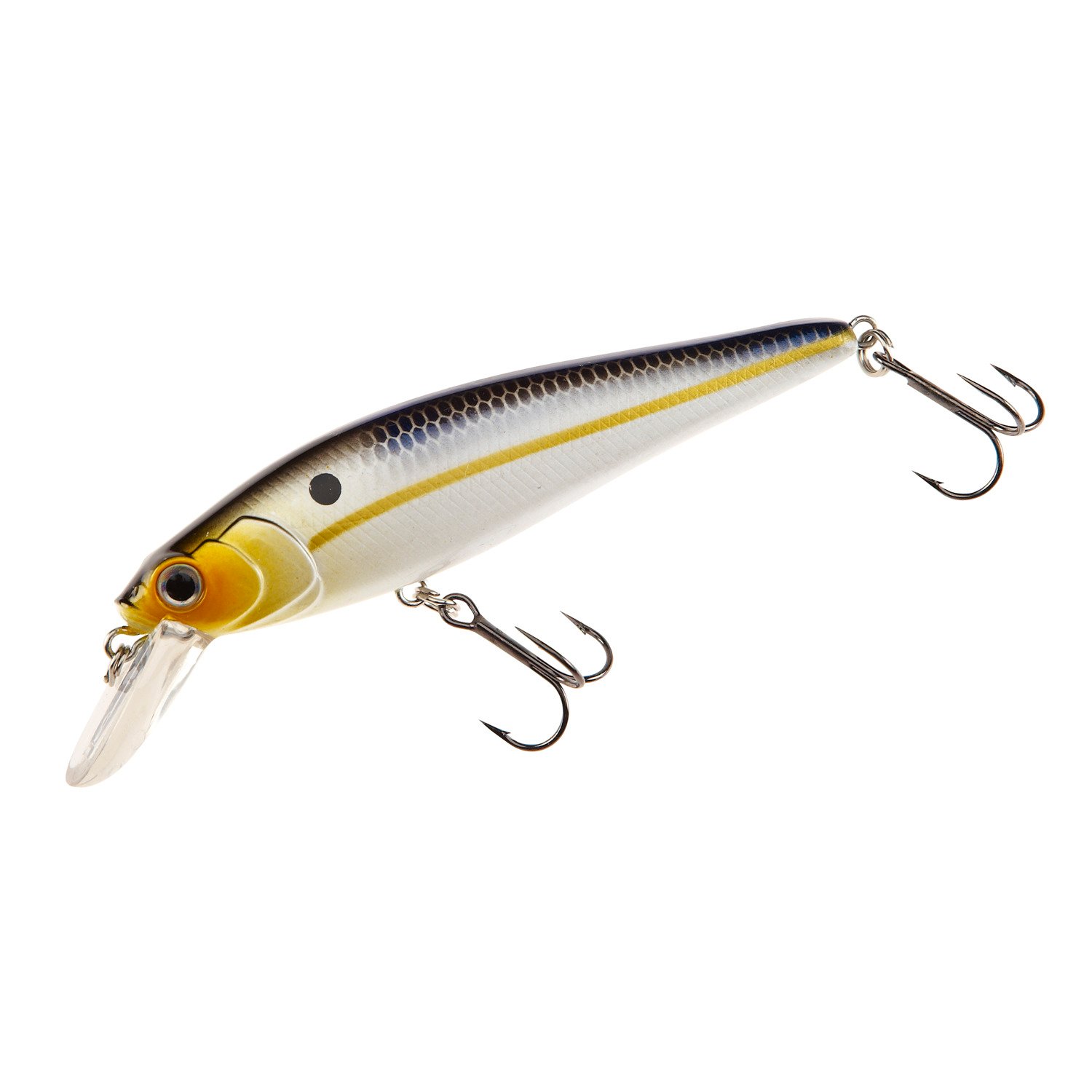 H2O XPRESS™ Floating Jerk Bait Academy