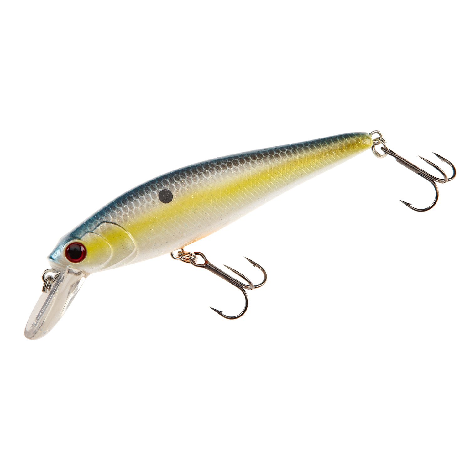 H2O XPRESS™ Floating Jerk Bait Academy