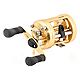 Shimano Calcutta Round Baitcast Reel Right-handed                                                                                - view number 1 image