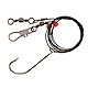 Eagle Claw Lazer Sharp 48" Saltwater Rigs 2-Pack                                                                                 - view number 1 image