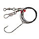 Eagle Claw Lazer Sharp 48" Saltwater Rigs 2-Pack - view number 1 image