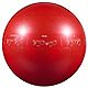 GoFit Adults' 65 cm Professional Grade Stability Ball                                                                            - view number 1 image