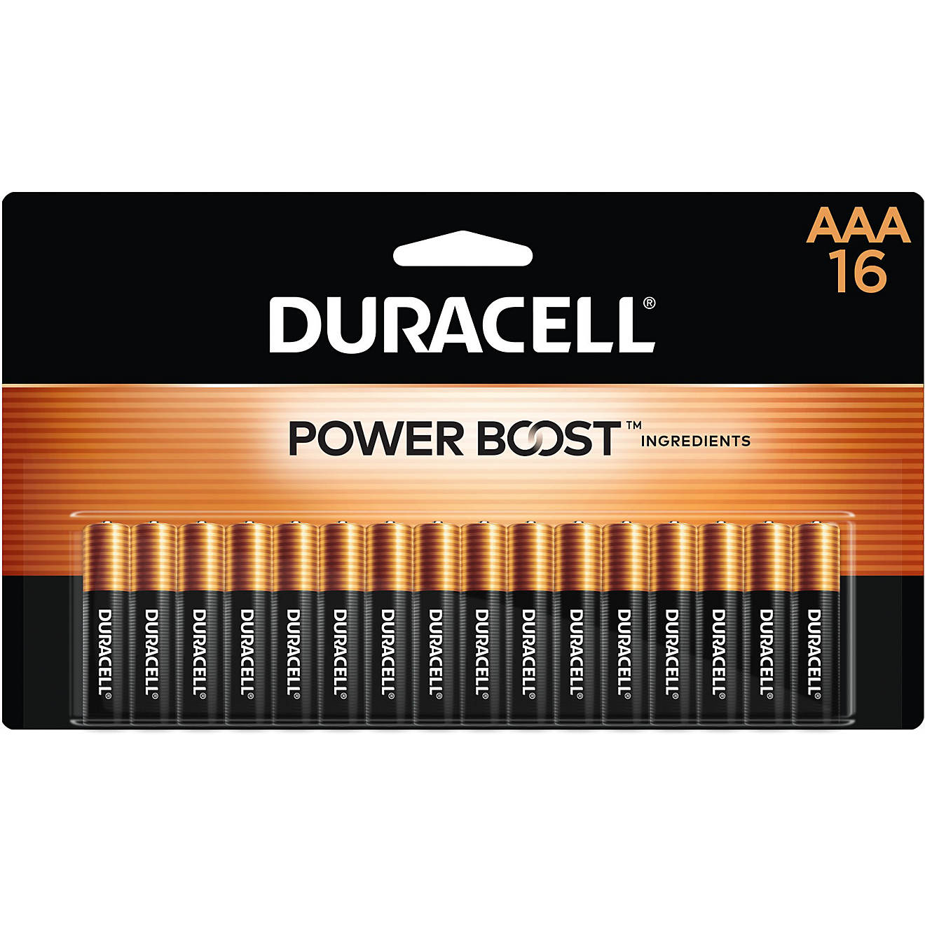 Duracell Coppertop AAA Batteries 16-Pack                                                                                         - view number 1