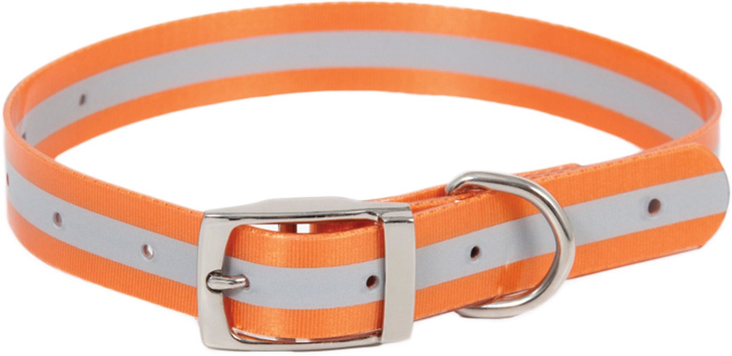 academy shock collar
