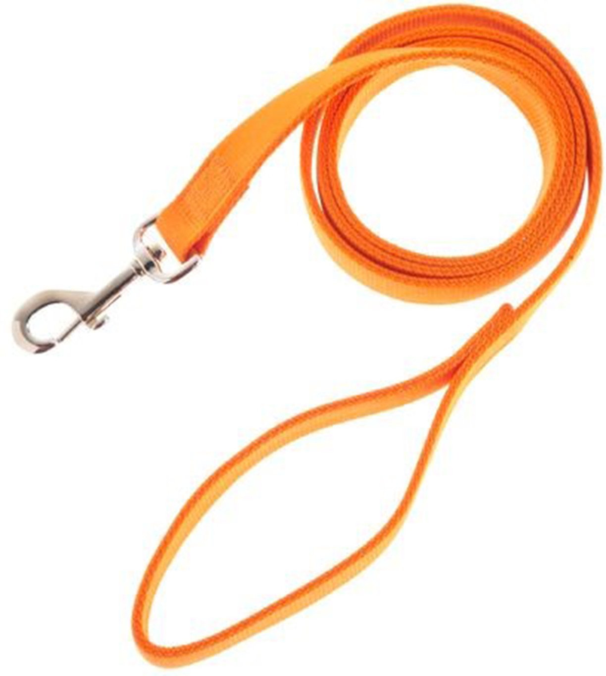 Ruffmaxx Nylon 5' Blaze Orange Dog Leash | Academy