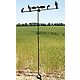 MOJO Outdoors™ Dove Tree Decoy Stand                                                                                           - view number 1 image